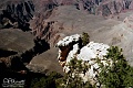 Grand Canyon White Cliff